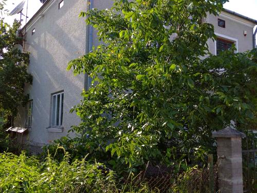 будинок за адресою Тараса Шевченка вул., 29