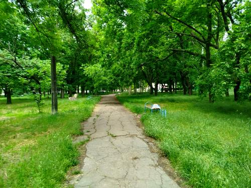 квартира по адресу Балковская ул., 126