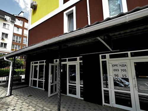 комерційна за адресою Василя Стуса вул. (Пушкінська), 62л
