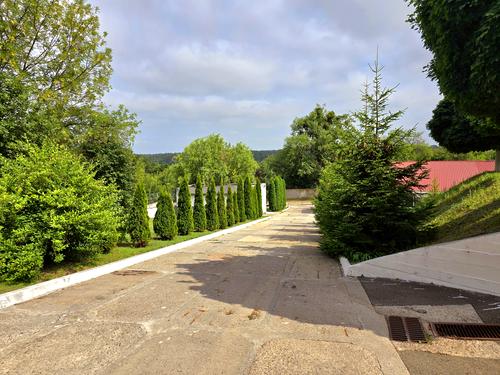 комерційна за адресою Шевченка, 1
