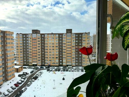 квартира по адресу Соборная ул., 285а