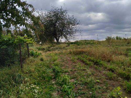 будинок за адресою Шевченка, 11