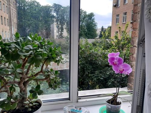 квартира за адресою Інститутська вул., 24/7