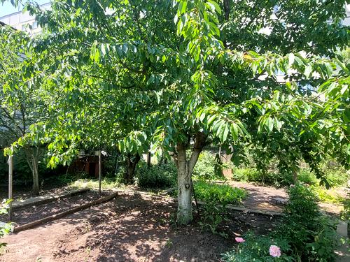 будинок за адресою Харків, Астрономічна вул., 9