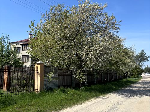 дом по адресу Нова, 10