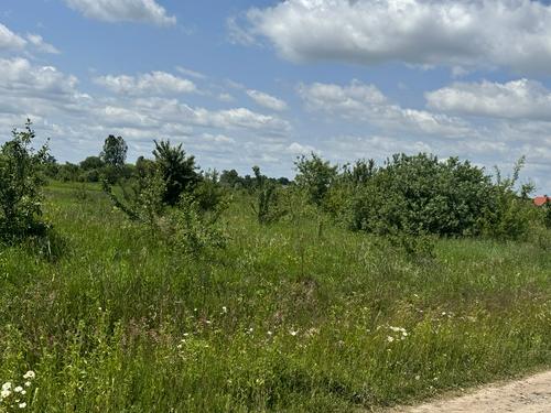 участок по адресу Бандери