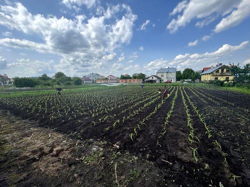 ділянка за адресою с. Великі Грибовичі, Стуса