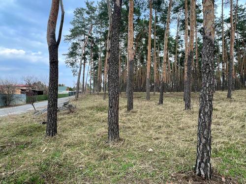 будинок за адресою Ліснича вул.