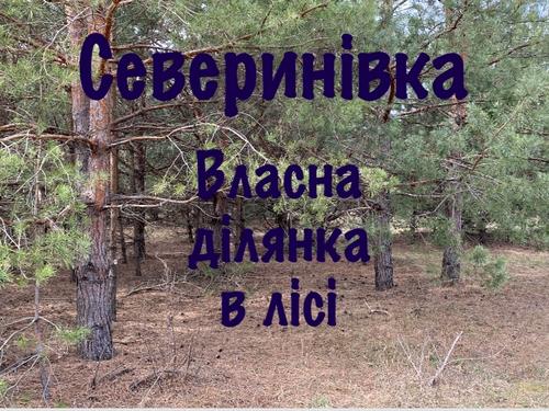 участок по адресу с. Севериновка, 