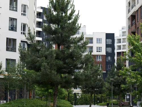 квартира по адресу Ирпень, Ольги Кобилянської ул. (Достоевского), 8