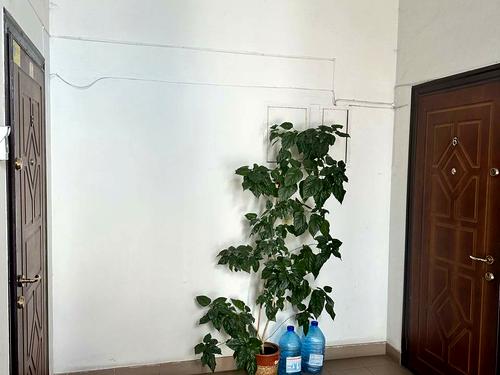квартира по адресу Сечевых Стрельцов ул., 42а