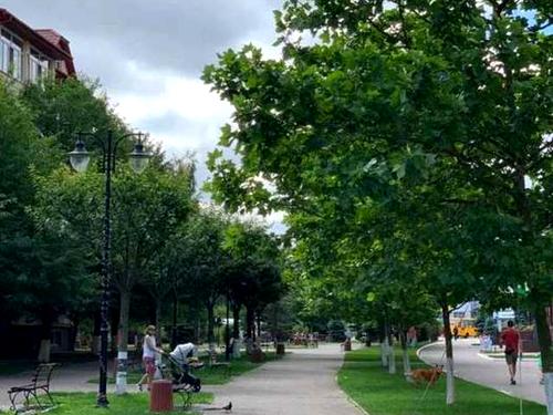 квартира за адресою Волинська вул., 3