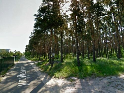 будинок за адресою Ліснича вул.