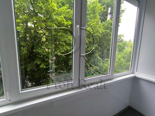 квартира за адресою Сім'ї Ідзиковських вул. (Михайла Мишина), 23