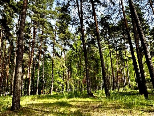 будинок за адресою Зарічна