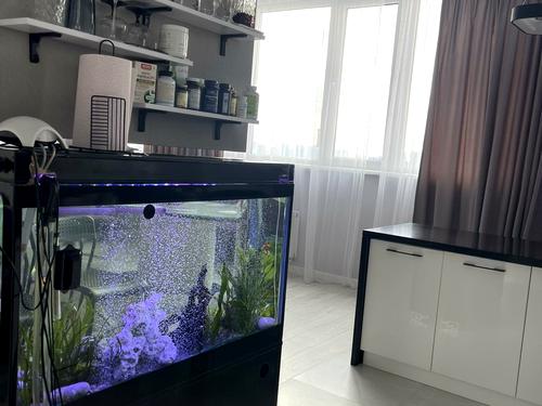квартира за адресою Незалежності вул., 8г