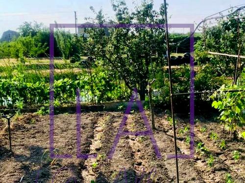 дом по адресу с. Ларжанка, Ізмаільска