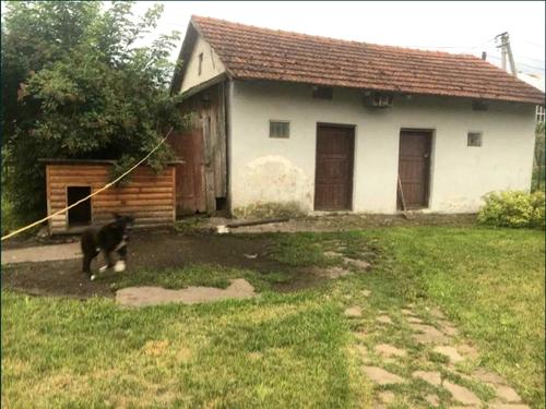 дом по адресу с. Каменнополь, Старе село, 3