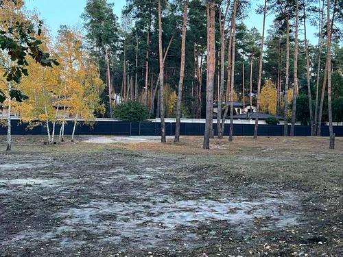 участок по адресу с. Романков, Сосновый Бор ул.