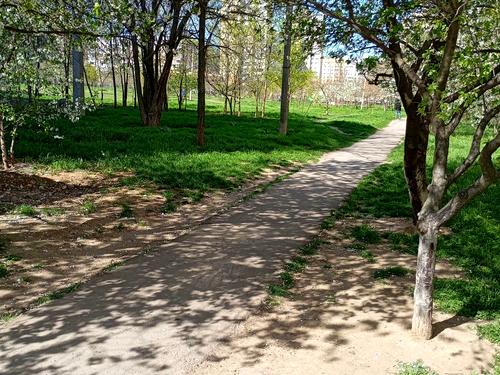 комерційна за адресою Академіка Заболотного вул., 66