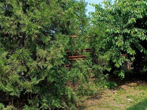 будинок за адресою Запоріжжя, Вахтова вул.