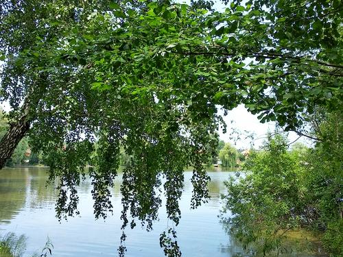 будинок за адресою 1я Лінія