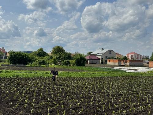 ділянка за адресою с. Великі Грибовичі, Стуса