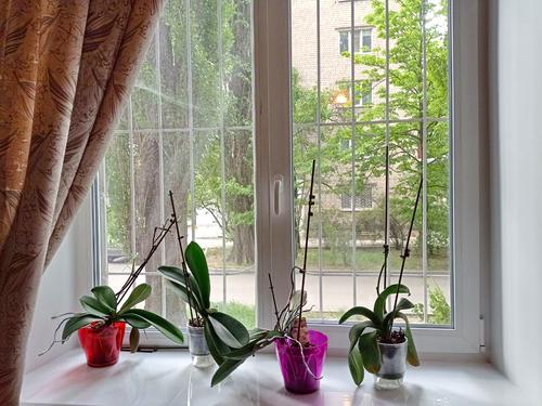 квартира за адресою Універсальна вул., 9