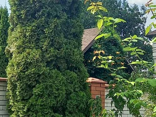 будинок за адресою 6-та лінія