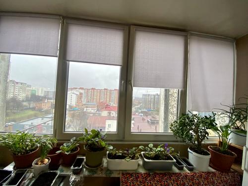 квартира за адресою Максима Залізняка пров., 12