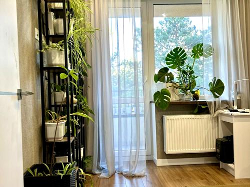 квартира за адресою Миргородська вул. (Кисловодська), 100