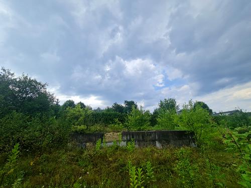 участок по адресу с. Старые Безрадичи, Садова, 2