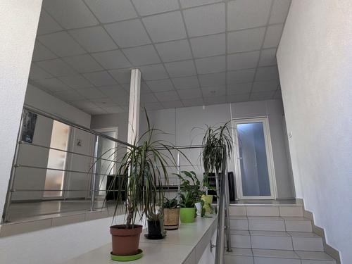 коммерческая по адресу Тринітарська, 11