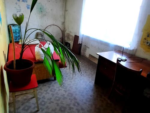 квартира за адресою Нежинская, 12