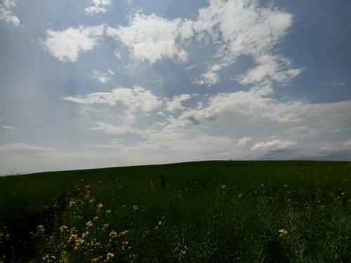 ділянка за адресою алгоритмічна