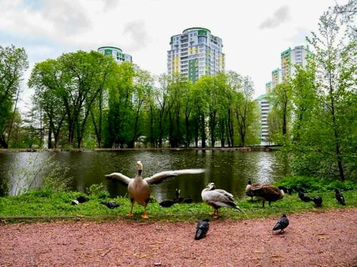 квартира за адресою Вишгородська вул., 45Б/1
