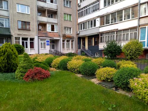 комерційна за адресою Вагилевича вул., 7