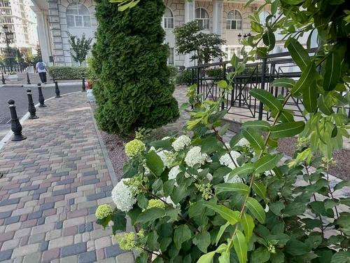 квартира за адресою Михайла Максимовича вул. (Онуфрія Трутенка), 26-В