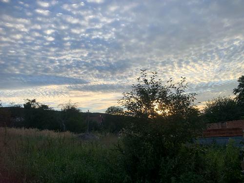 ділянка за адресою Коновальця, 31