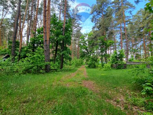 комерційна за адресою Вітряного, 21