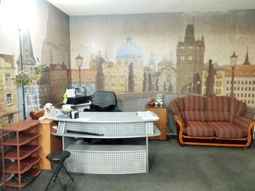 комерційна за адресою Олени Теліги вул., 57