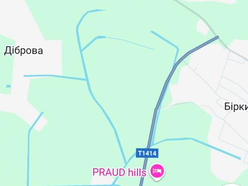 ділянка за адресою с. Бірки, 