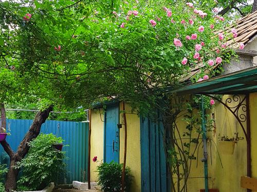 квартира по адресу Эрдели ул., 5