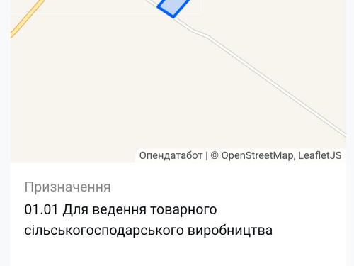 участок по адресу с. Синяк, 