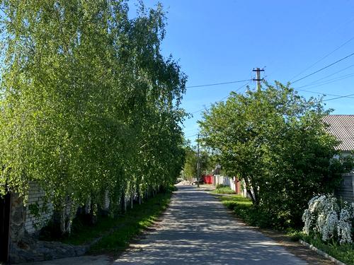 будинок за адресою Максима Березовського вул. (Попудренка), 11