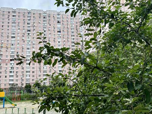 квартира за адресою Олени Пчілки вул., 2-Б
