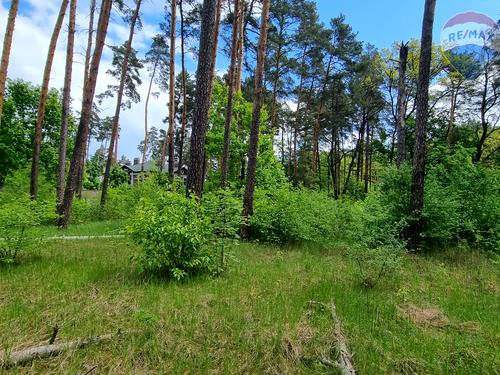 комерційна за адресою Вітряного, 21