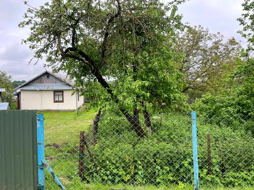 будинок за адресою Лесі Українки, 10