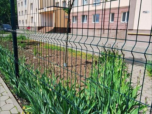 квартира за адресою Софіївка, 39а