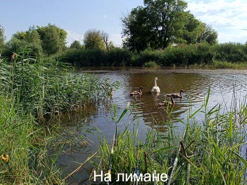 дом по адресу с. Бурдовка, Моряк 4, 29